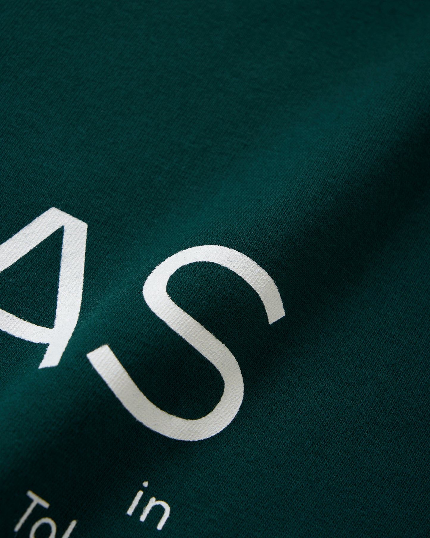 SAUNAS ロゴTシャツ 2025